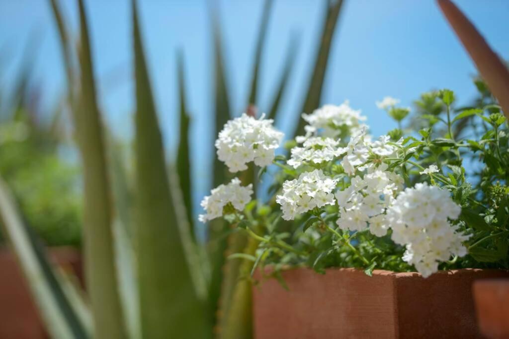פראינו Casa La Verbena מראה חיצוני תמונה